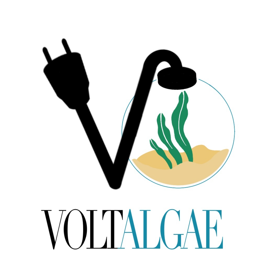 Voltalgae