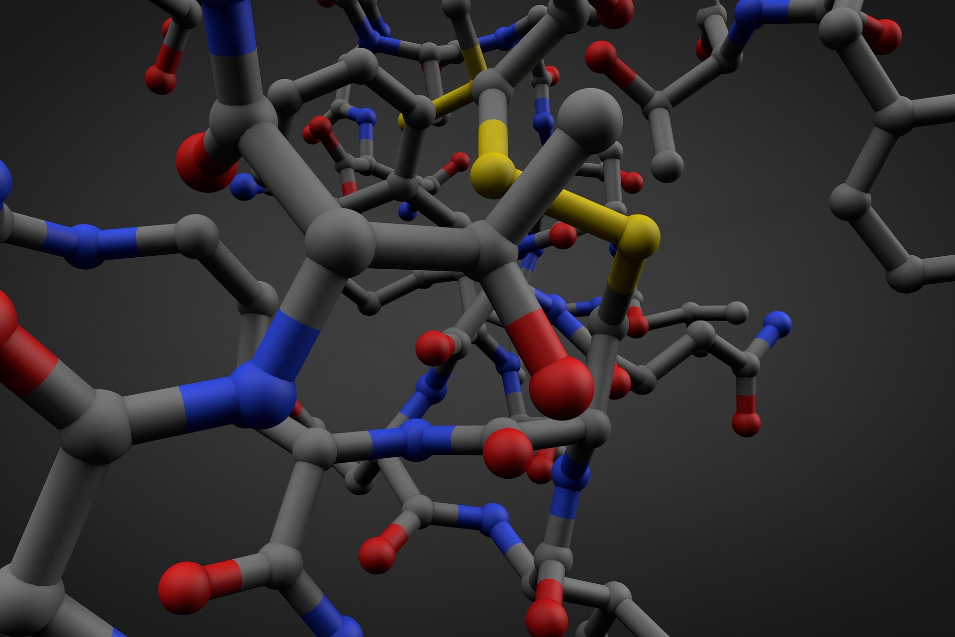 pha-biopolymer